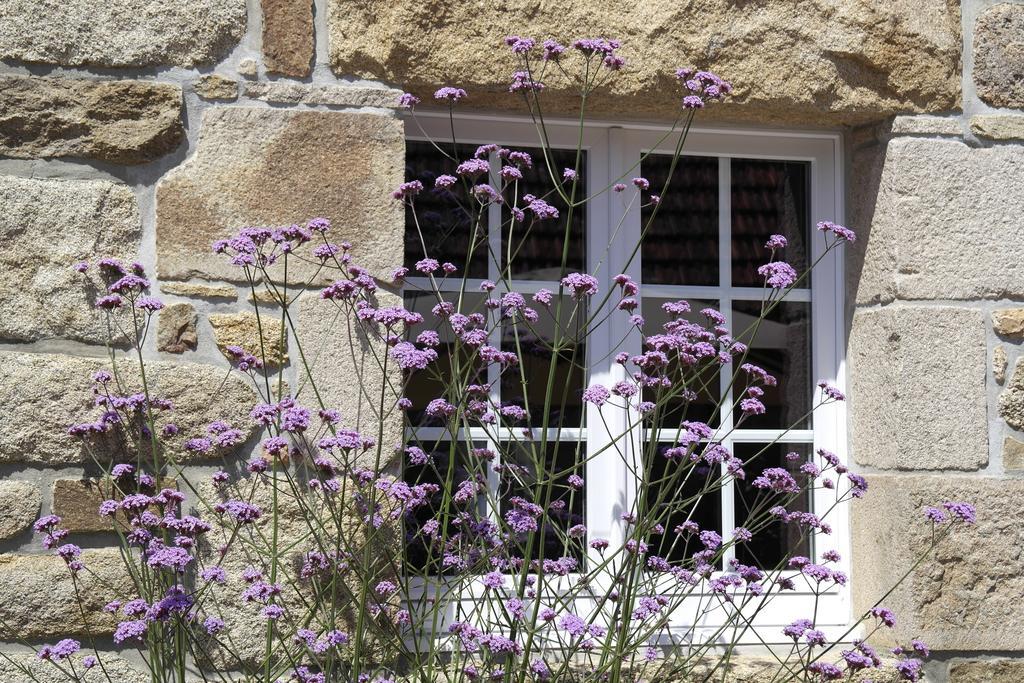 Traou Ar Vilin Perros-Guirec Exterior photo